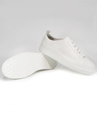 Biodegradable NY Sneakers